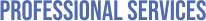 PROFESSIONAL SERVICES