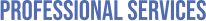 PROFESSIONAL SERVICES
